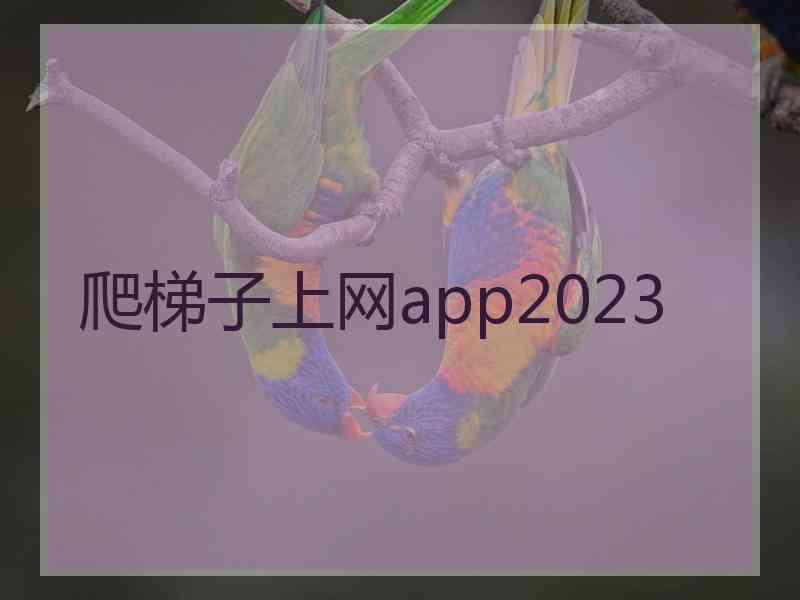 爬梯子上网app2023