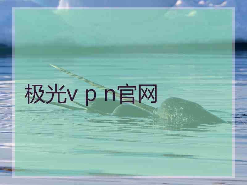 极光v p n官网