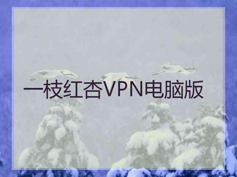 一枝红杏VPN电脑版