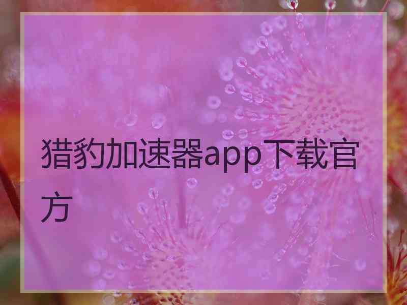 猎豹加速器app下载官方