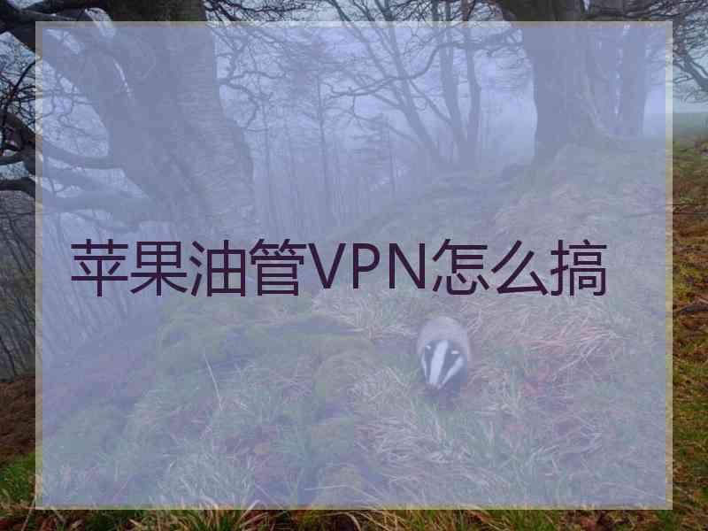 苹果油管VPN怎么搞