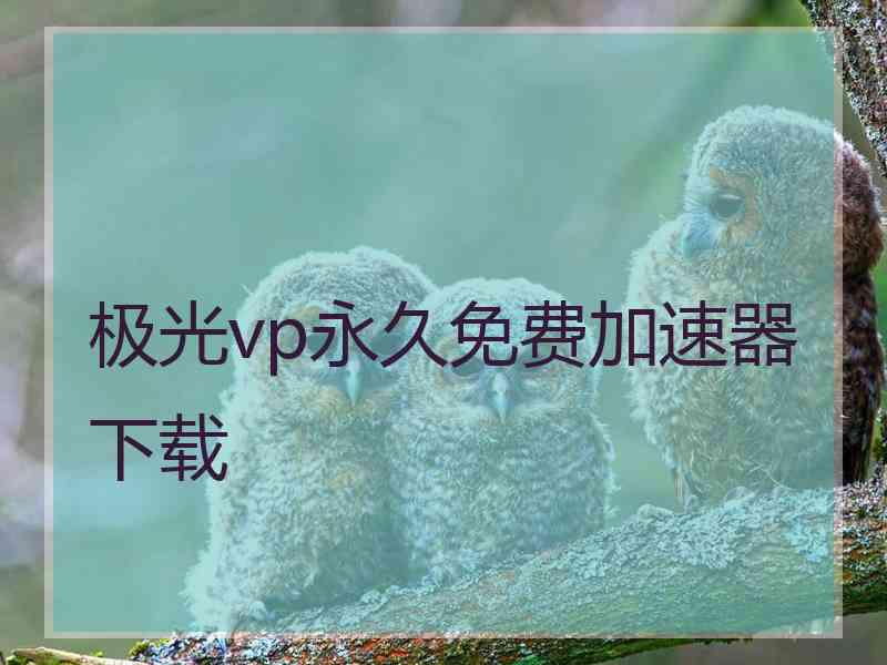 极光vp永久免费加速器下载