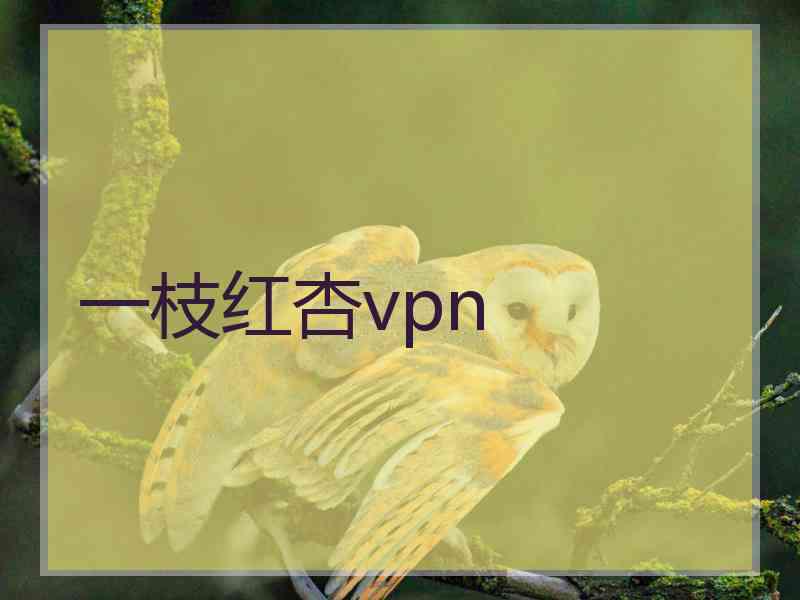 一枝红杏vpn