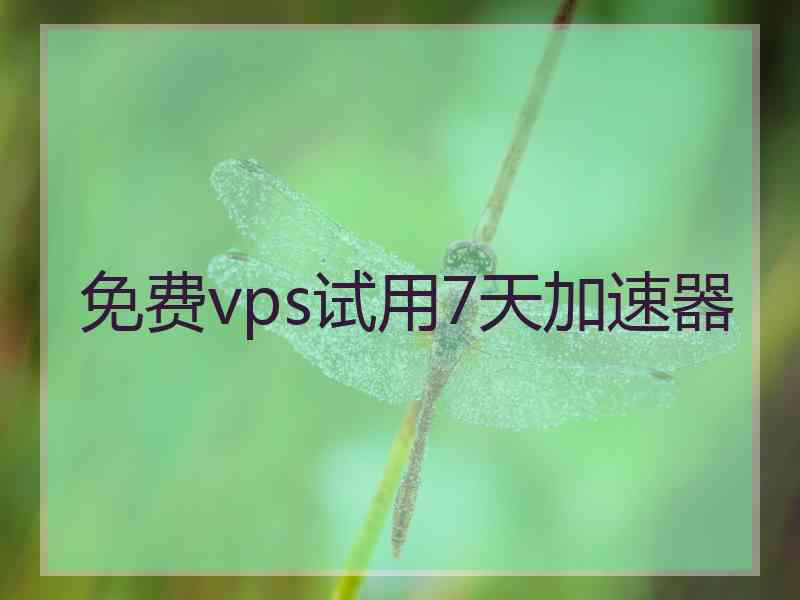 免费vps试用7天加速器