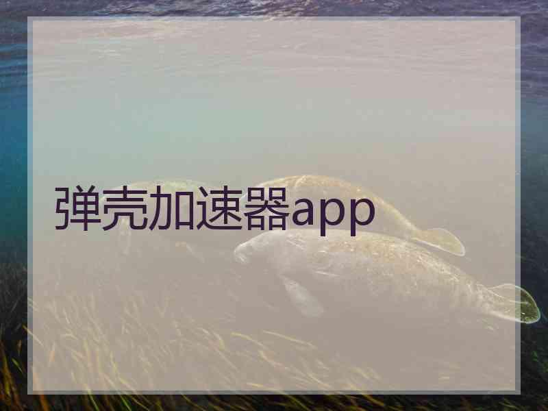 弹壳加速器app