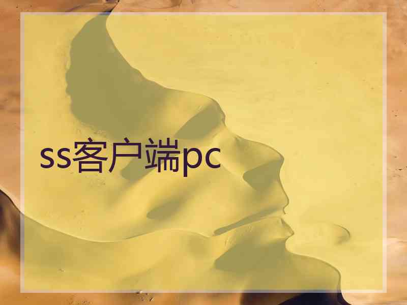 ss客户端pc