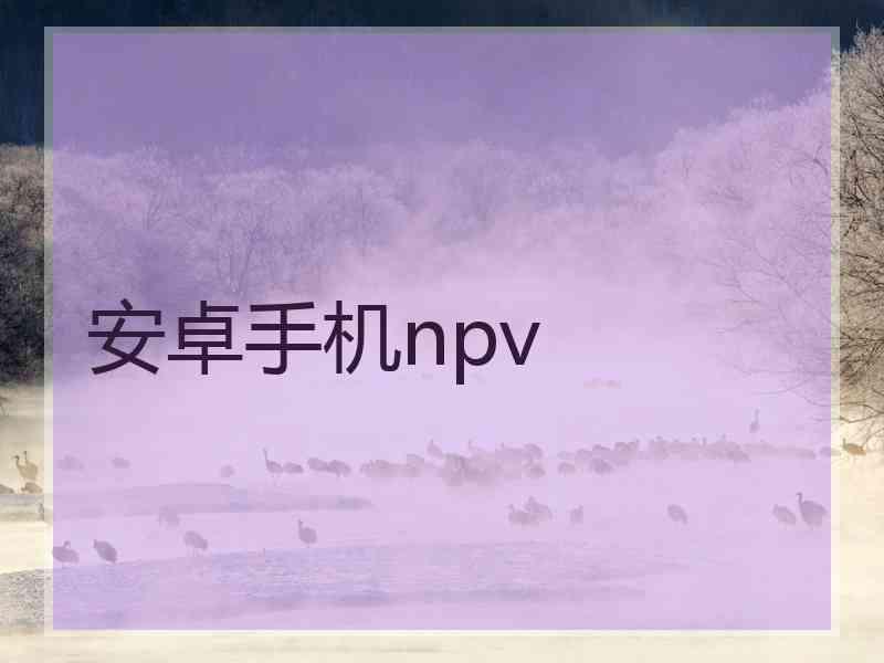 安卓手机npv