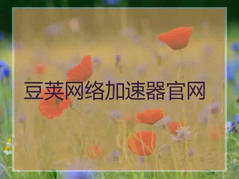 豆荚网络加速器官网