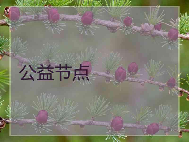 公益节点