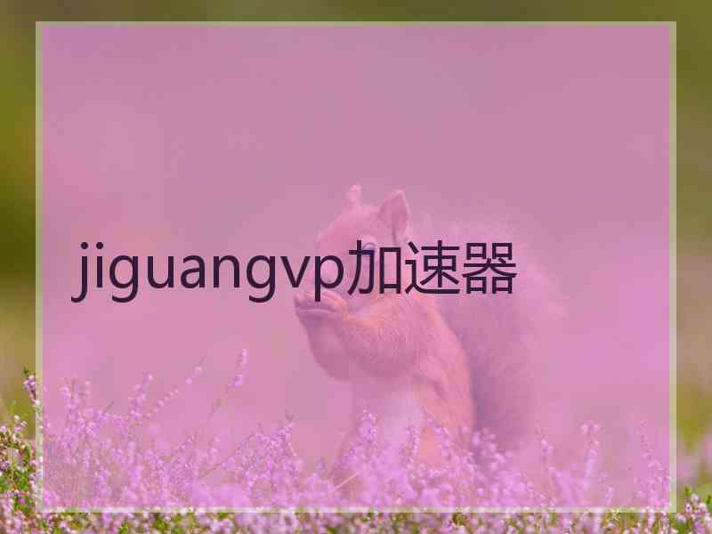 jiguangvp加速器