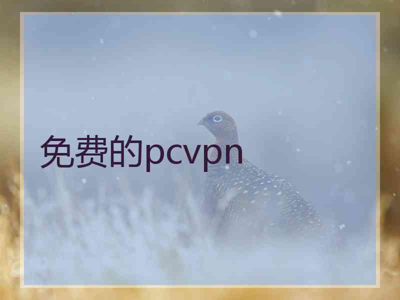 免费的pcvpn