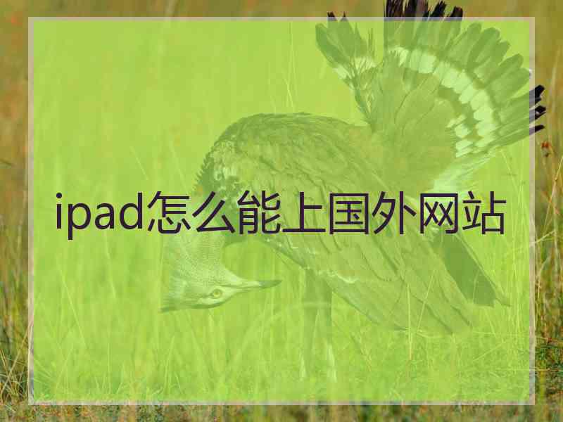 ipad怎么能上国外网站