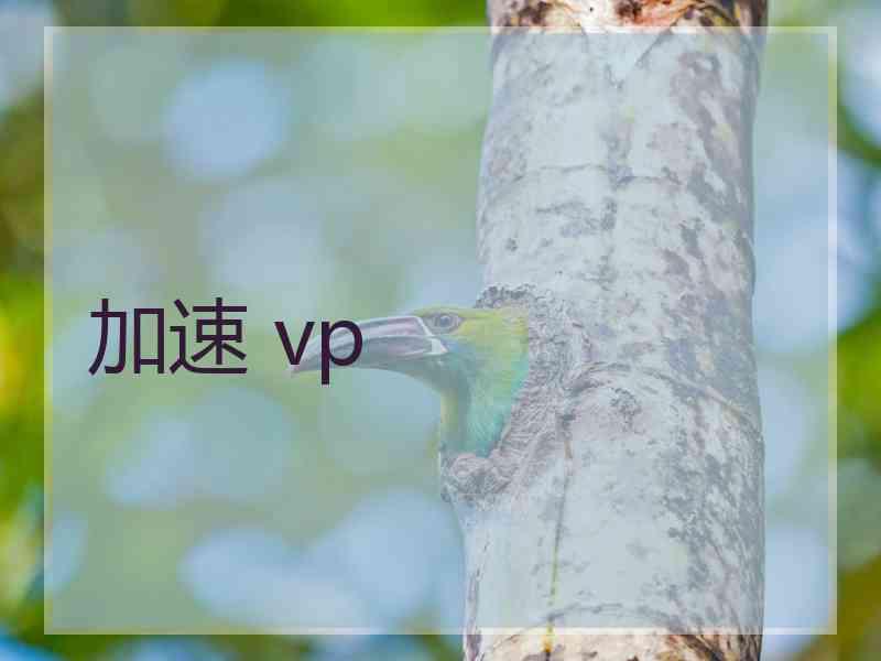 加速 vp