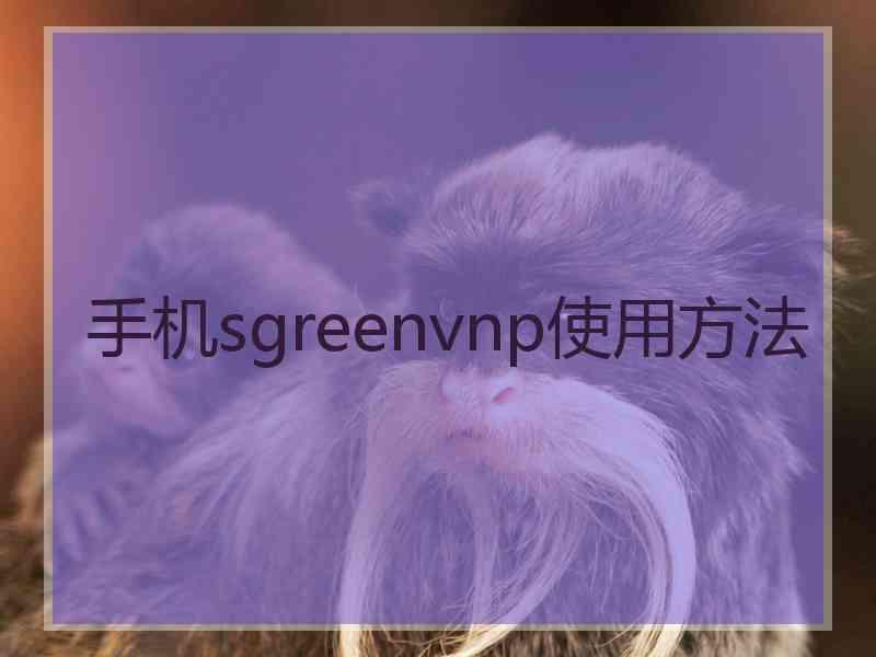 手机sgreenvnp使用方法