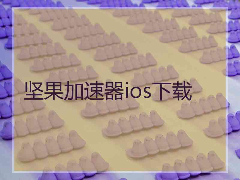 坚果加速器ios下载