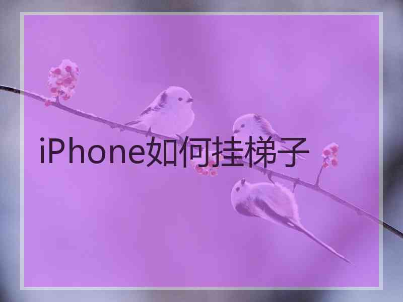 iPhone如何挂梯子