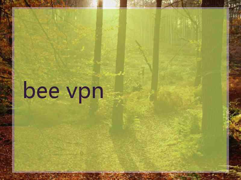 bee vpn