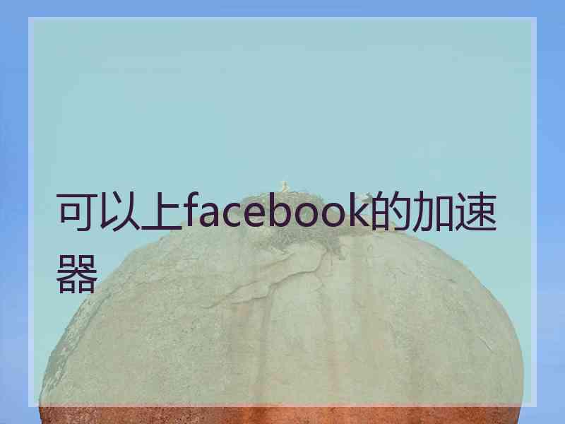 可以上facebook的加速器